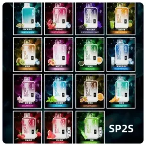 SP2S GEM 9000 Puffs SP2S 拋棄式便攜式拋棄式電子煙 (外出款)