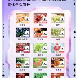 XIAOKE 可替換式電子煙 (兼容 RELX6代) (標準款)